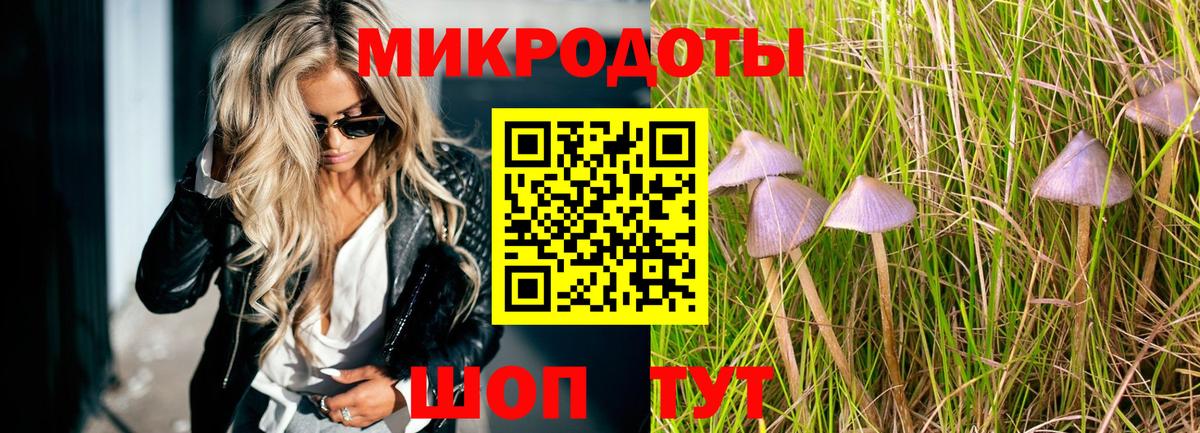 Кинель  Галлюциногенные грибы прущие грибы  Вход с VPN 