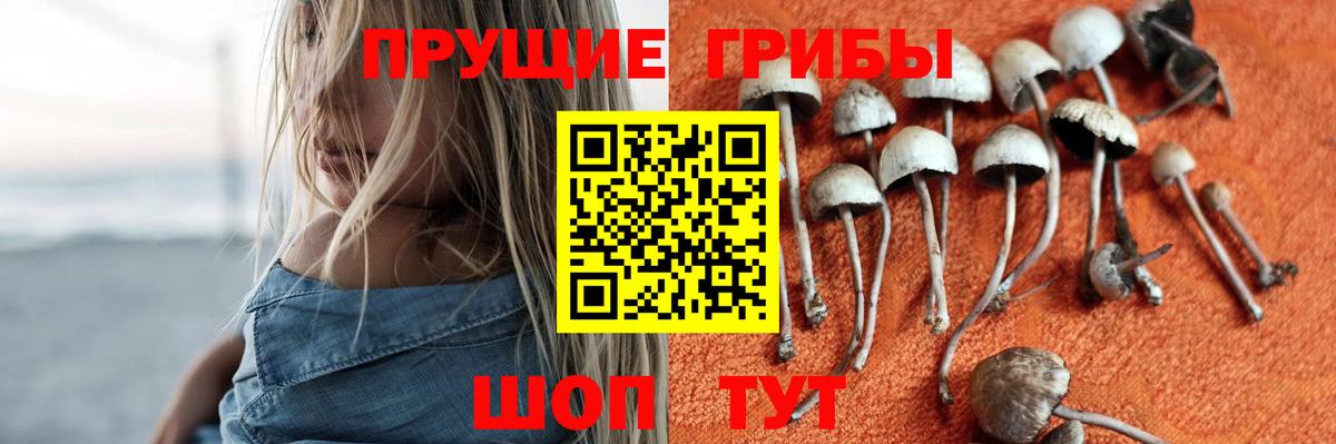 Галлюциногенные грибы мицелий Кинель